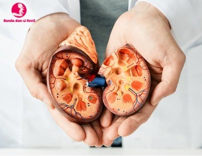 Anak Bisa Mengalami Gagal Ginjal? Kenali Penyebab dan Cara Mencegahnya